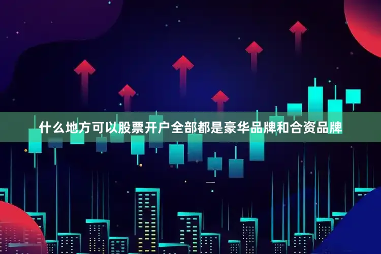 什么地方可以股票开户全部都是豪华品牌和合资品牌