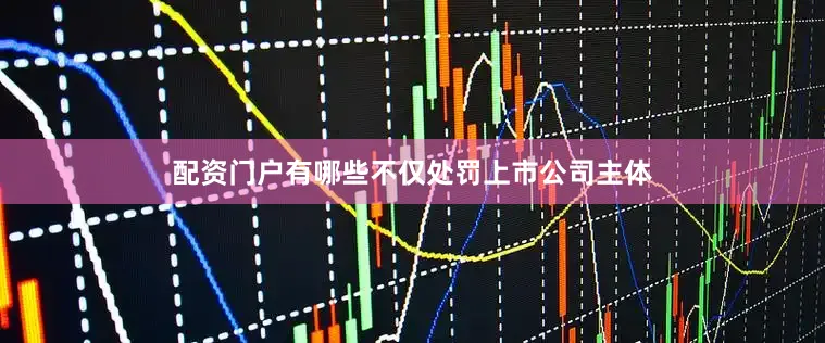 配资门户有哪些不仅处罚上市公司主体